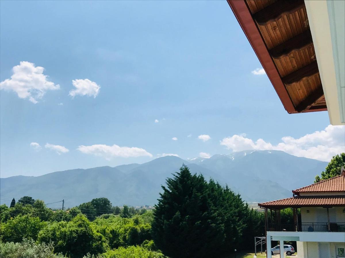 Apartmán Dimeli 1 Plaka Litochorou Exteriér fotografie